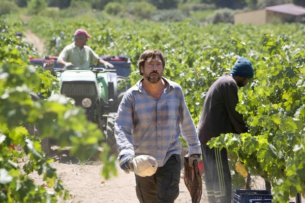 誰もがそれを知っている 7枚目の写真・画像