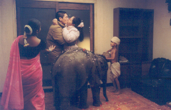 オアシス 1枚目の写真・画像