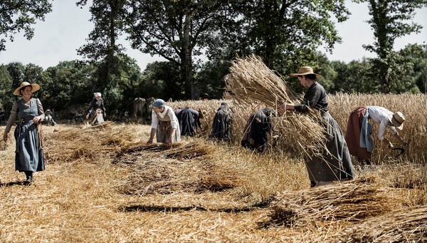 田園の守り人たち 6枚目の写真・画像