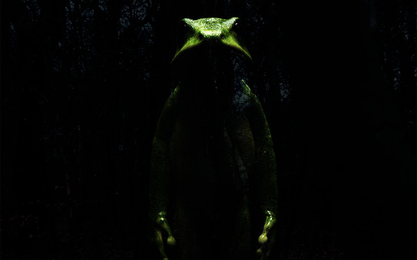 ドリーミング村上春樹 7枚目の写真・画像