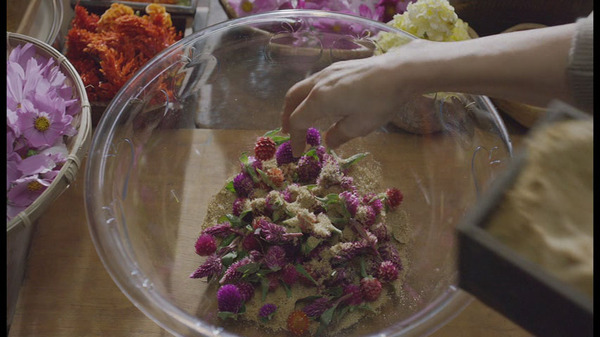 お料理帖～息子に遺す記憶のレシピ～ 7枚目の写真・画像