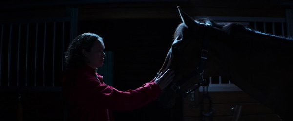 サラブレッド 11枚目の写真・画像