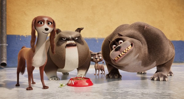 ロイヤルコーギー レックスの大冒険 6枚目の写真・画像