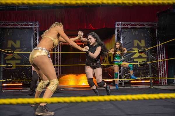 ファイティング・ファミリー 6枚目の写真・画像