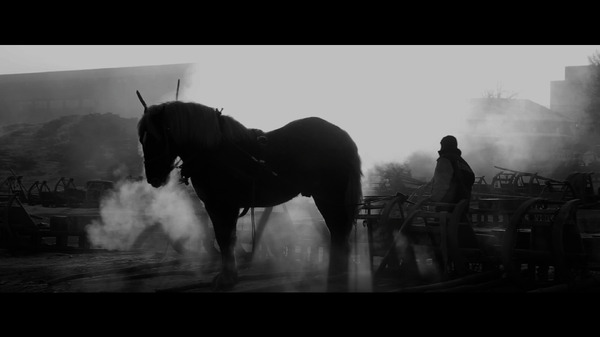 馬ありて 2枚目の写真・画像