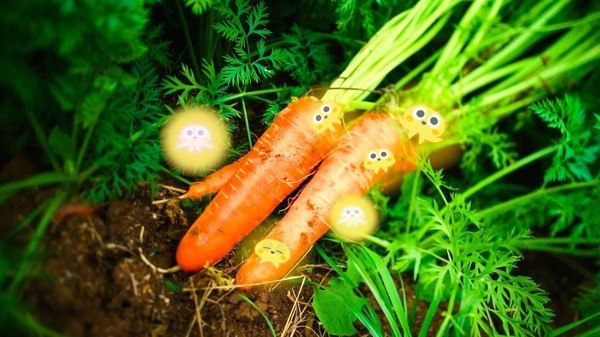 いただきます ここは、発酵の楽園 6枚目の写真・画像