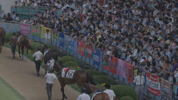今日もどこかで馬は生まれる 2枚目の写真・画像