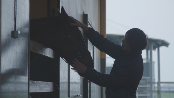 今日もどこかで馬は生まれる 8枚目の写真・画像