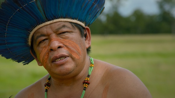 グリーン・ライ〜エコの嘘〜 13枚目の写真・画像