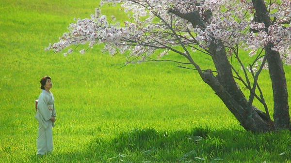 モルエラニの霧の中 2枚目の写真・画像