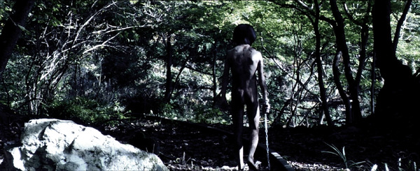 超擬態人間 2枚目の写真・画像