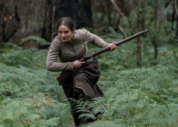 ナイチンゲール 2枚目の写真・画像