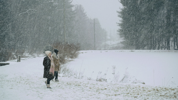 ナンシー 6枚目の写真・画像