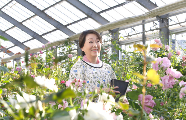 ブルーヘブンを君に 2枚目の写真・画像