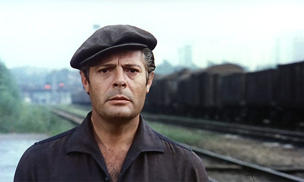 ひまわり 50周年HDレストア版 8枚目の写真・画像