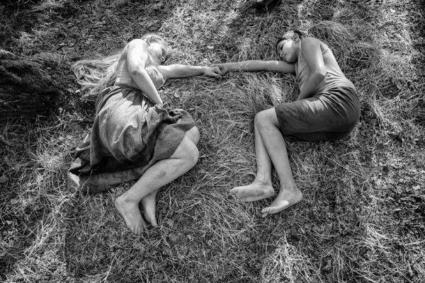 異端の鳥 7枚目の写真・画像