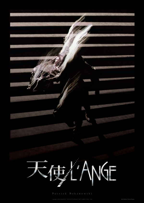 天使/L'ANGE 1枚目の写真・画像
