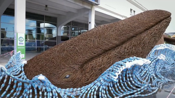 プラスチックの海 12枚目の写真・画像