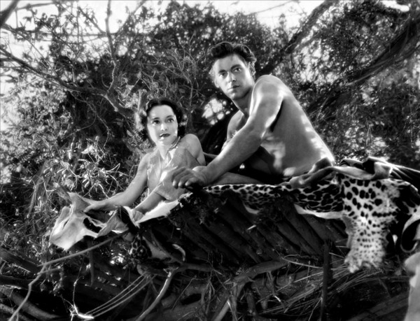 類猿人ターザン (1932) 2枚目の写真・画像