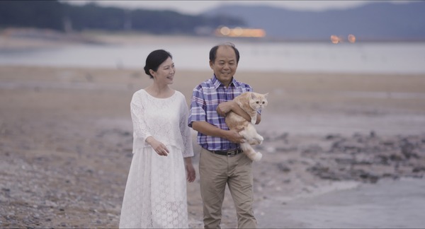 私と猫のサランヘヨ 7枚目の写真・画像