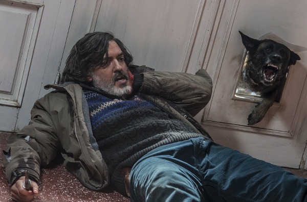 VS狂犬 3枚目の写真・画像