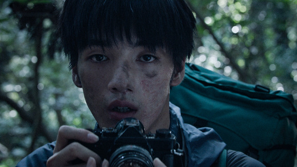 青い、森 2枚目の写真・画像