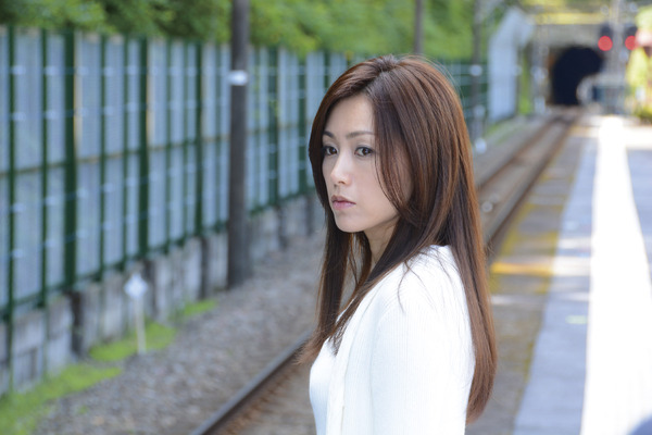 空蝉の森 2枚目の写真・画像