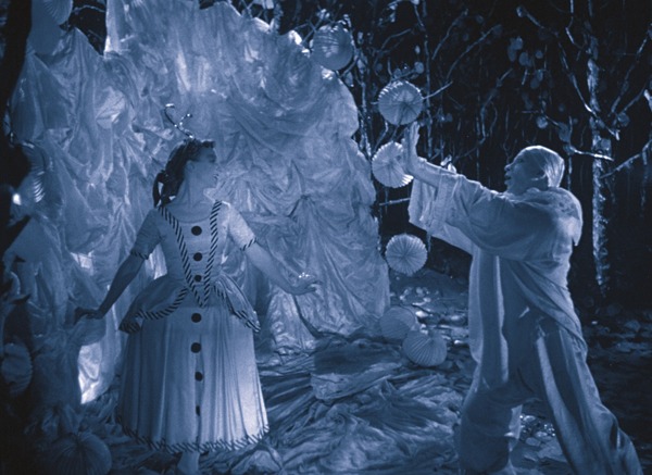 マジック・ランタン・サイクル 9枚目の写真・画像