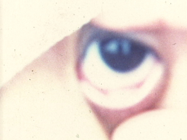 ぞうが死んだ 1枚目の写真・画像