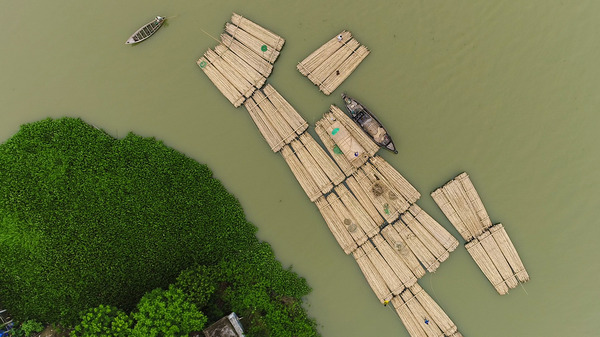 竹で稼ぐ男たち 1枚目の写真・画像