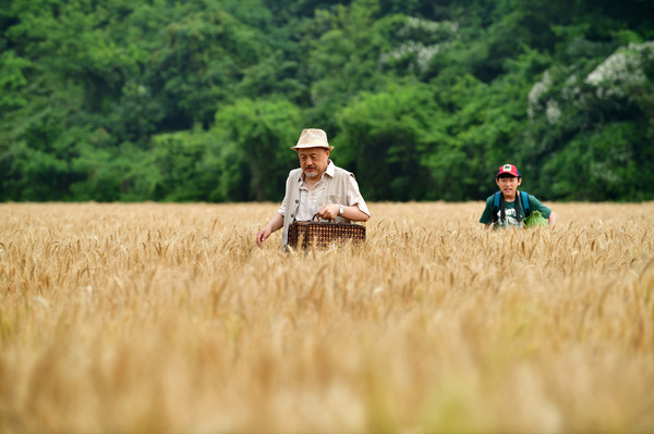 A SUMMER TRIP～僕とじいじ、1300キロの旅 1枚目の写真・画像
