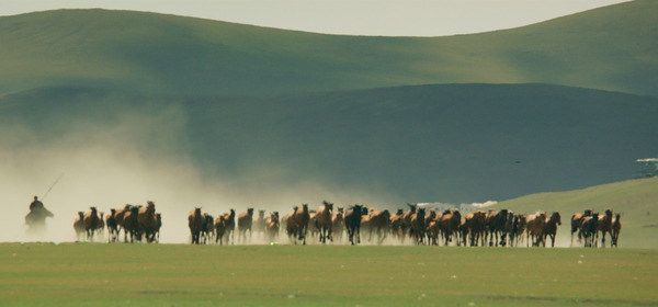 大地と白い雲 11枚目の写真・画像