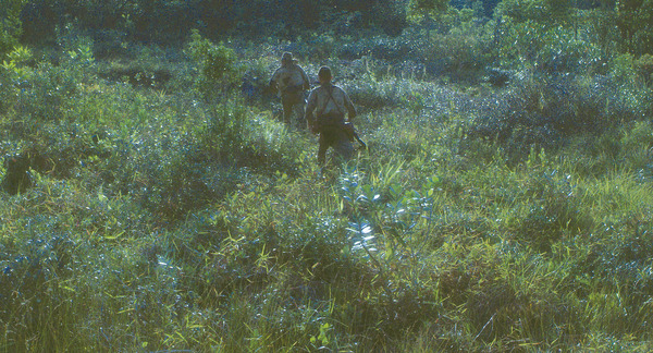 ONODA 一万夜を越えて 2枚目の写真・画像