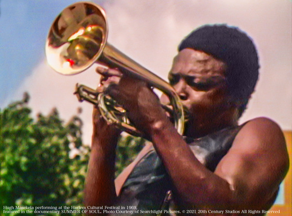 サマー・オブ・ソウル（あるいは、革命がテレビ放映されなかった時） 8枚目の写真・画像