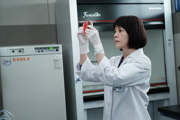 科捜研の女 -劇場版- 2枚目の写真・画像