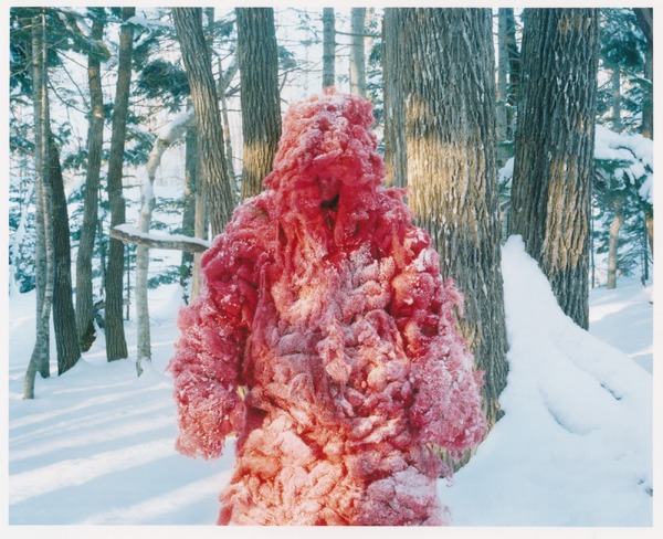 Shari 2枚目の写真・画像