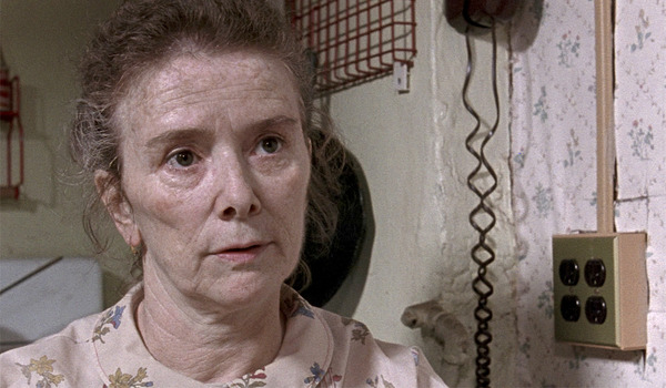 クリーン、シェーブン 8枚目の写真・画像