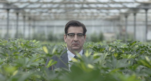 PITY ある不幸な男 6枚目の写真・画像