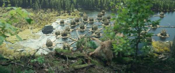 カオス・ウォーキング 6枚目の写真・画像