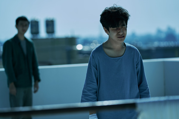 無聲 The Silent Forest 6枚目の写真・画像