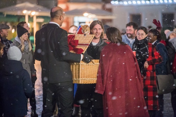 ボブという名の猫2　幸せのギフト 9枚目の写真・画像