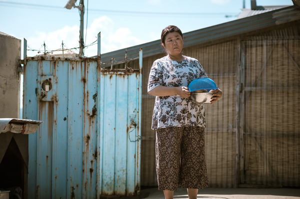 ひかり探して 9枚目の写真・画像