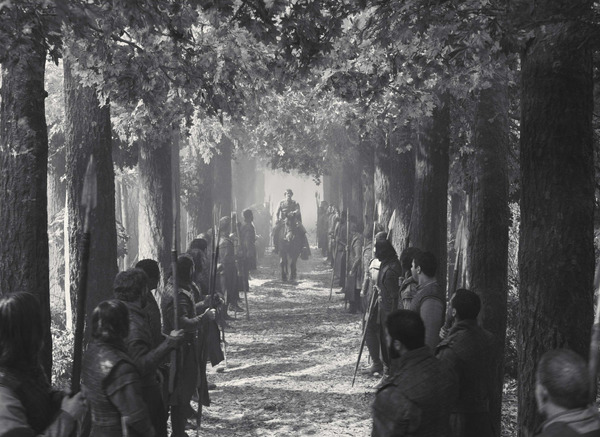 マクベス 24枚目の写真・画像