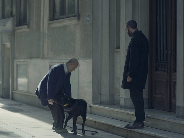 林檎とポラロイド 9枚目の写真・画像