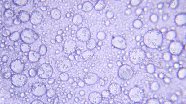 発酵する民 3枚目の写真・画像