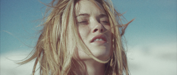 スターフィッシュ 2枚目の写真・画像