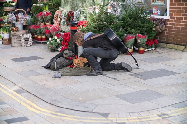 ボブという名の猫2　幸せのギフト 11枚目の写真・画像