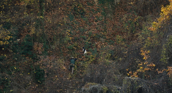 白いトリュフの宿る森 3枚目の写真・画像