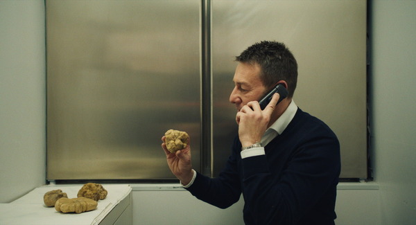 白いトリュフの宿る森 4枚目の写真・画像