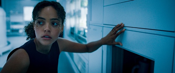 ヴォイジャー 10枚目の写真・画像